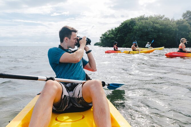 Kayak + Guided Snorkel & Morning Sail hosted by Honest Eco - What the Catamaran Adds to the Morning