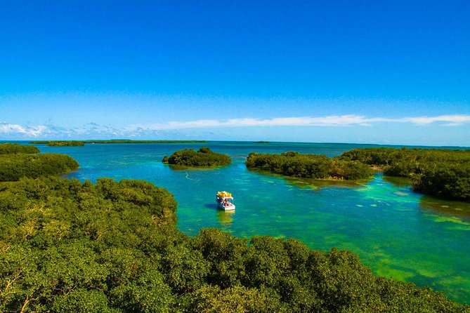 Kayak + Guided Snorkel & Morning Sail hosted by Honest Eco - How the $156 Price Measures Up