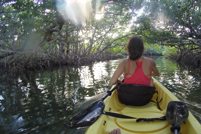 Kayak + Guided Snorkel & Morning Sail hosted by Honest Eco - Physical Effort, Family Fit, and Comfort