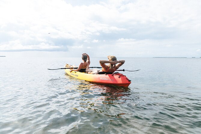 Kayak + Guided Snorkel & Morning Sail hosted by Honest Eco - Snorkeling Where Conditions Are Best That Day