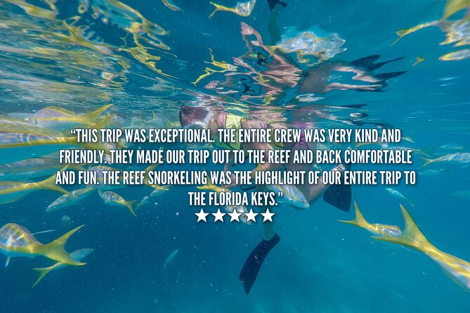 Key West Afternoon Snorkel Sail with Unlimited Cocktails! - Beer, wine, and cocktails on the ride home