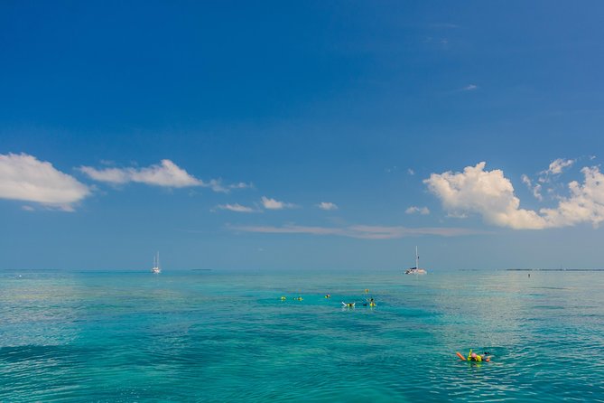 Key West Afternoon Snorkel Sail with Unlimited Cocktails! - Practical advice for a smoother afternoon