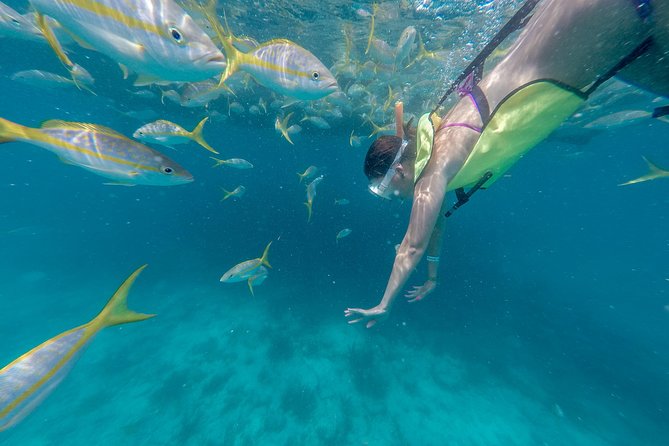 Key West Afternoon Snorkel Sail with Unlimited Cocktails! - Snorkeling over shallow coral reef