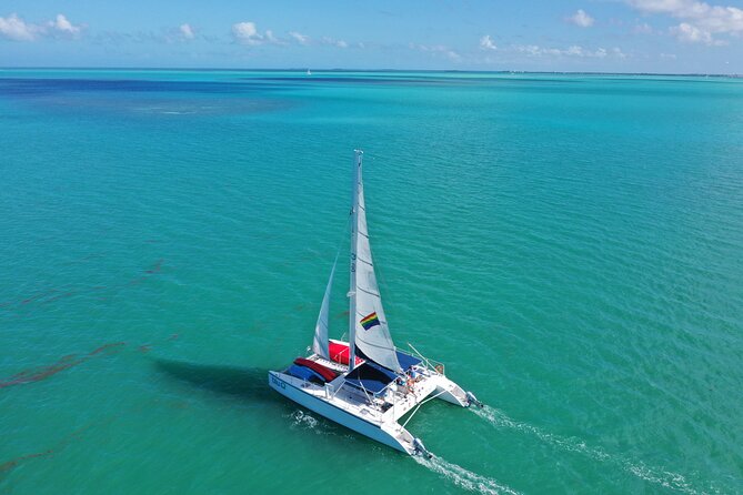 Key West Dolphin Watch and Sunset Sail on Catamaran - The price and what you receive for it