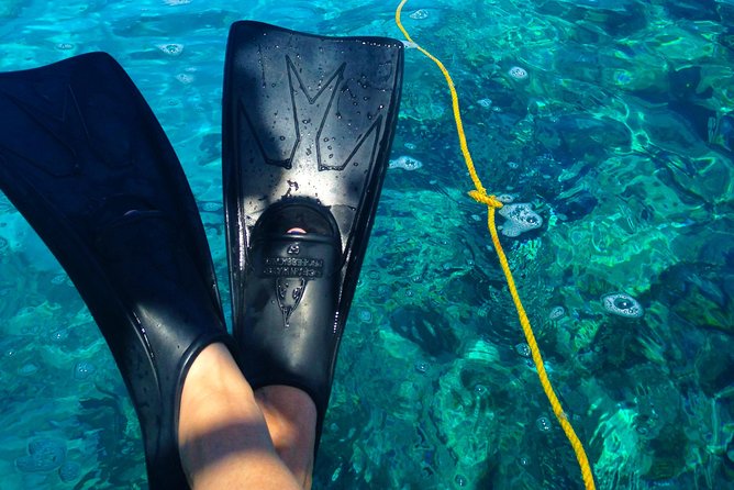 Key West Reef Snorkel & Sail Adventure - Preparing for the reef stop