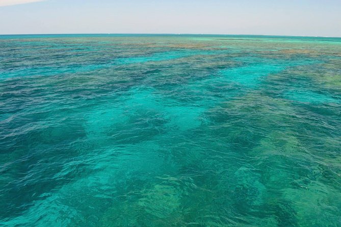 Key West Reef Snorkel & Sail Adventure - Is $79 a good value?
