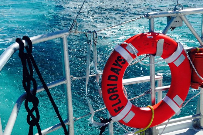 Key West Reef Snorkel & Sail Adventure - What you may see below the surface
