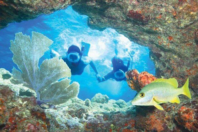 Key West Rum and Reggae: Reef Snorkel Adventure and Sunset Sail - Crew help and the family question