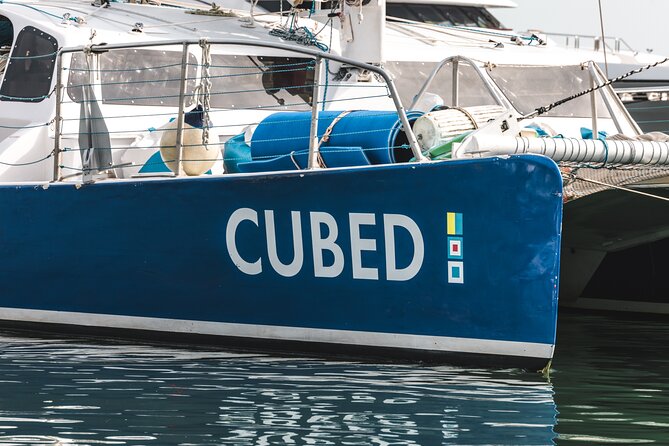 Key West's Favorite Afternoon Dolphin Sail - A relaxed departure from Key West’s Historic Seaport