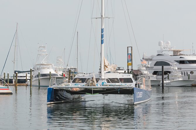 Key West's Favorite Afternoon Dolphin Sail - Who should book this afternoon sail?