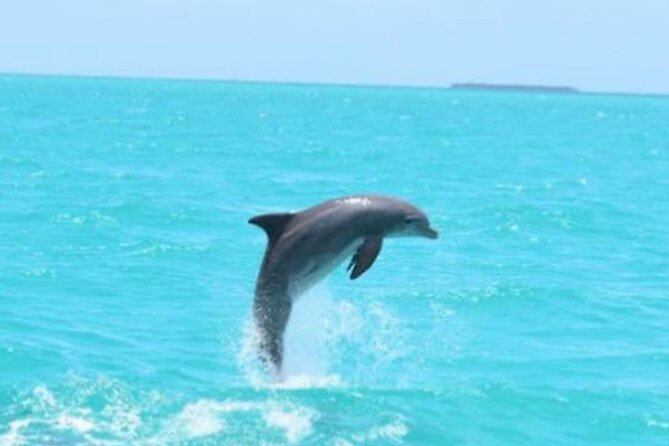 Key West's Favorite Afternoon Dolphin Sail - Booking, weather, and cancellation details