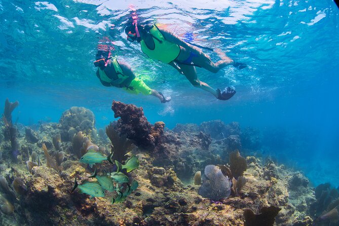 Key West Sail and Snorkel Day Trip from Fort Lauderdale - Should you book it?