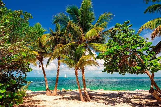 Key West Sail and Snorkel with Hotel Transportation from Miami - Who will enjoy this most