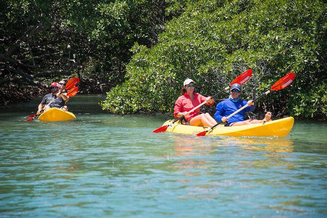 Key West Schooner Backcountry Eco Tour Sail Snorkel and Kayak - Snorkeling over reef and seagrass