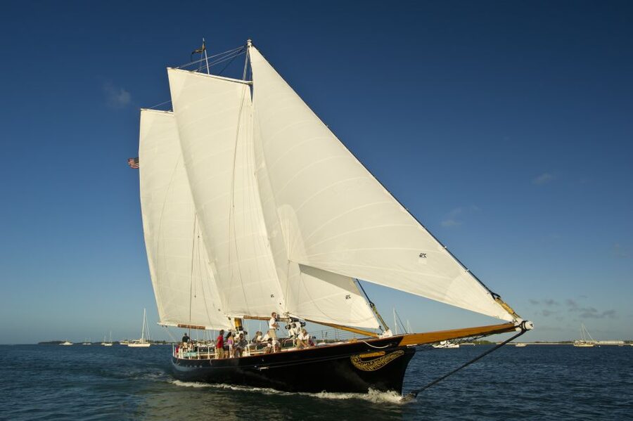Key West: Schooner Day Sail with Onboard Bar - Wildlife watching without a promise