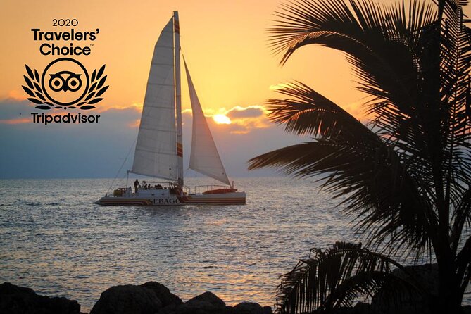 Key West Sunset Sail: Dolphin Watching, Wine, and Tapas - Who will enjoy this Key West cruise?