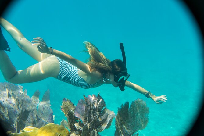 Key West: Sunset Sail + Reef Snorkel & Sandbar - Key details before you book