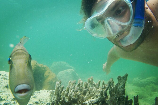 Key West: Sunset Sail + Reef Snorkel & Sandbar - A reef trip that begins with a real boat ride