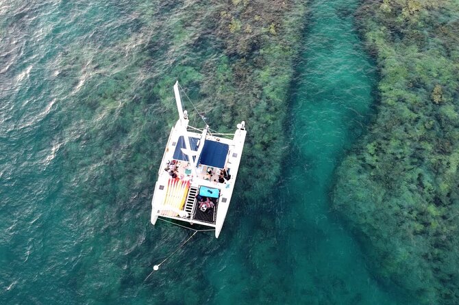 Key West: Sunset Sail + Reef Snorkel & Sandbar - Sand Key Reef and the remote sandbar
