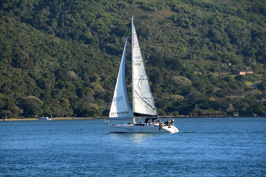 Knysna: 2.5-Hour Day Sail & Lunch Charter - Comfort, rules, and what to pack