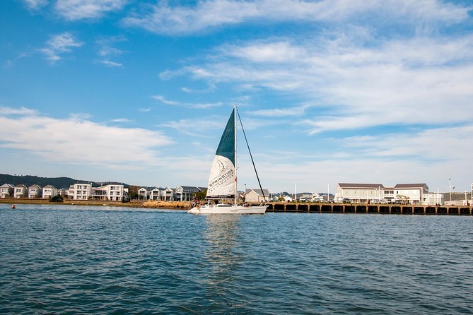 Knysna Day Sail & Lunch Charter 2.5 Hour - Who Will Enjoy This Sailing Trip Most?