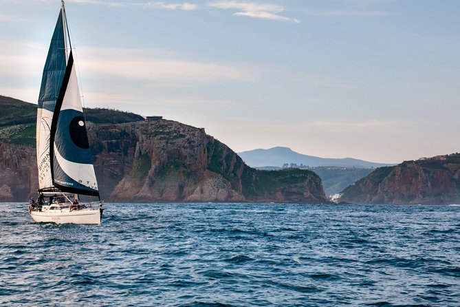 Knysna Day Sail & Lunch Charter 2.5 Hour - A Small Yacht With a Shared Atmosphere
