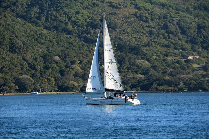 Knysna Day Sailing Cruise 1.5 hour - Returning through the lagoon