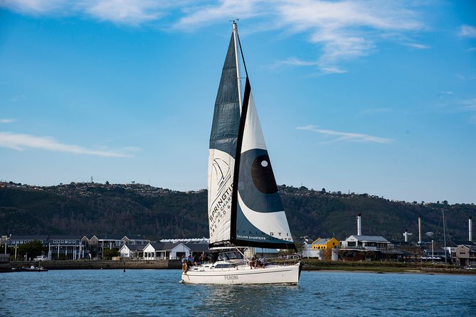 Knysna Day Sailing Cruise 1.5 hour - What $79.75 gets you