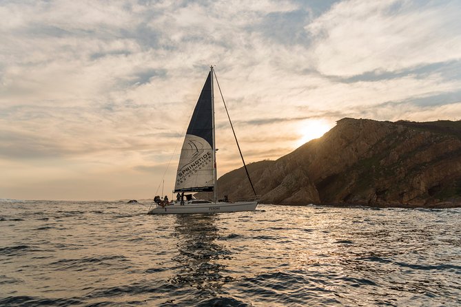 Knysna Sunset Sailing Cruise, Light Dinner & Bubbly - Is $104.67 a fair price?