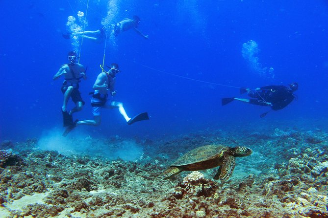 Ko Olina Catamaran Sail and Snorkel with Lunch - Is $195 a fair price?