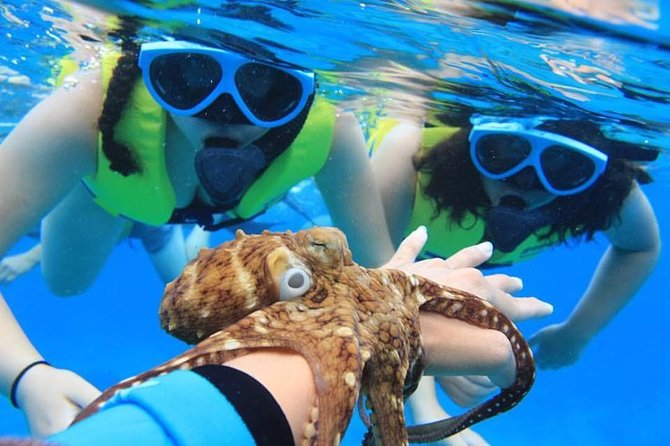 Ko Olina Catamaran Sail and Snorkel with Lunch - The sailing portion is more than transportation