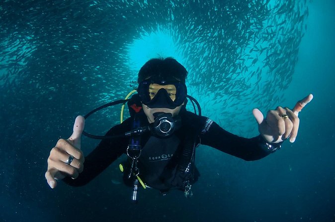 Koh Samui 2-Dive Trip to Sail Rock for certified divers - Helpful Guides and a Small-Group Feel
