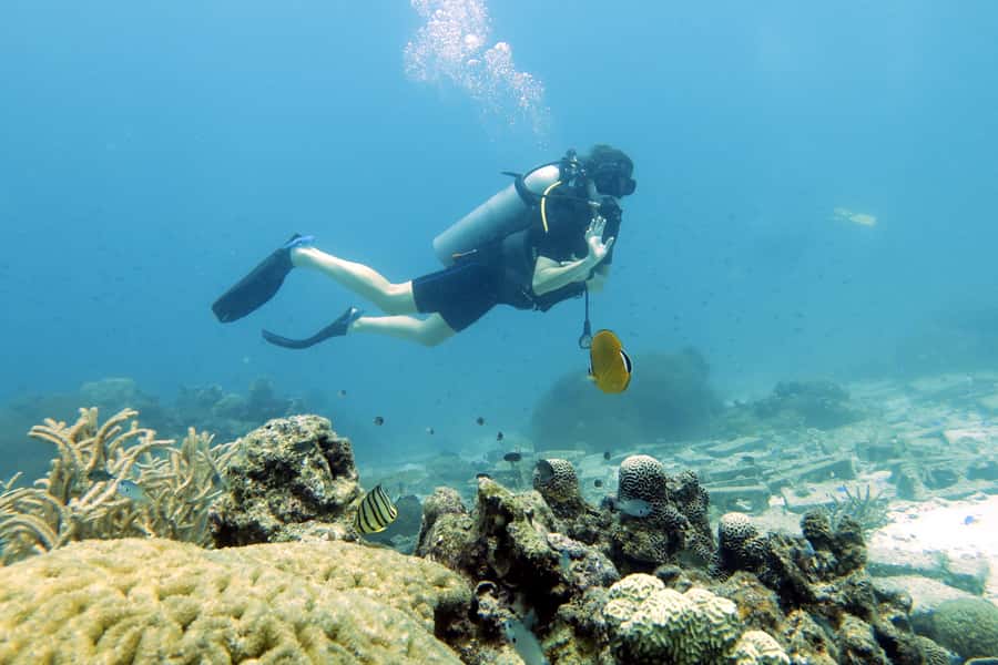 Koh Samui: Day Trip Diving at Sail Rock - Key points about the Sail Rock trip