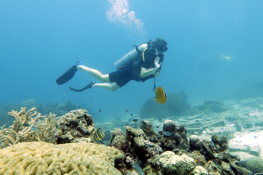 Koh Samui: Day Trip Diving at Sail Rock - Returning to Koh Samui