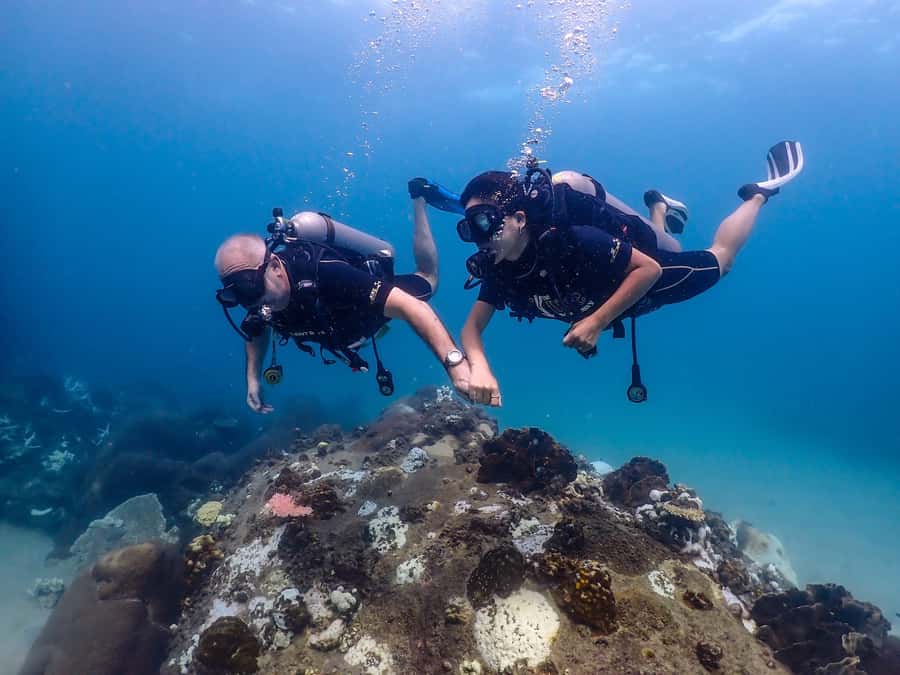 Koh Samui: Discovery Dive to Koh Tao or Sail Rock - Key points at a glance