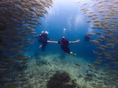 Discovery Dive to Koh Tao or Sail Rock