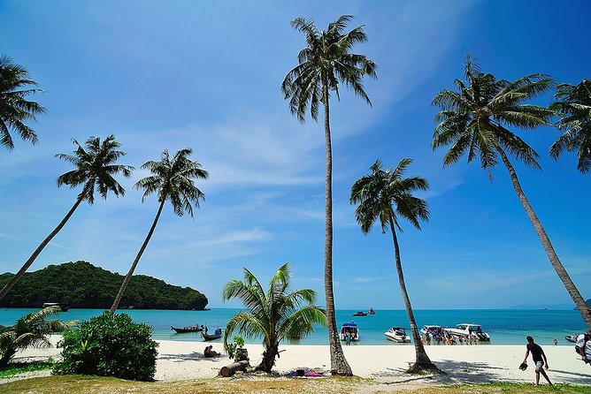 Koh Samui to Angthong Marine Park Cruise Tour By Red Baron Chinese Sailboat - Who will enjoy this 11-hour cruise