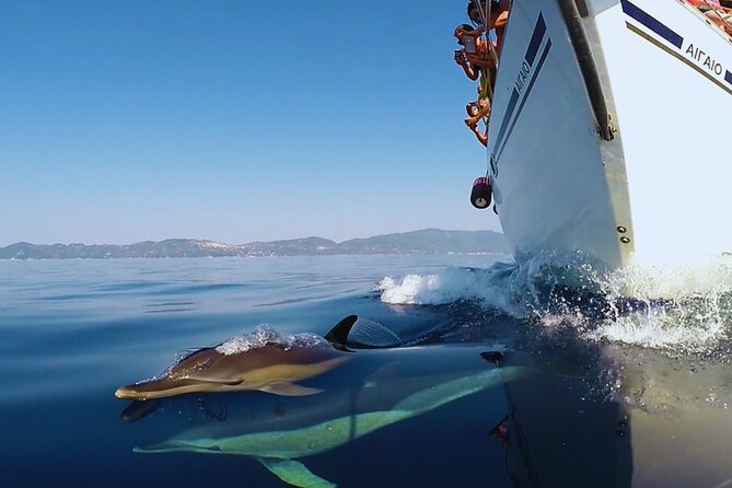 Kos: Small Group Full-Day Sailing with Meal, Drinks, & Swim - Sailing conditions and the return to Kos