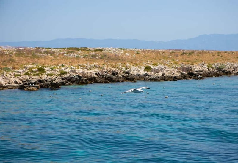 Krk : Sailing along the coasts of island Krk and Plavnik - Key points to know before boarding