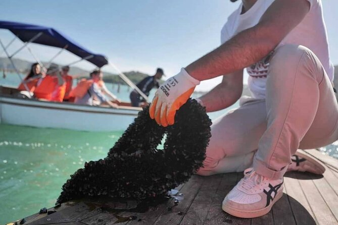 Ksamil: Mussel Sailing Tour with Food and Drink in Albania - Practical details that make the day easier