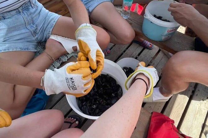 Ksamil: Mussel Sailing Tour with Food and Drink in Albania - How the food experience compares with a standard seafood lunch