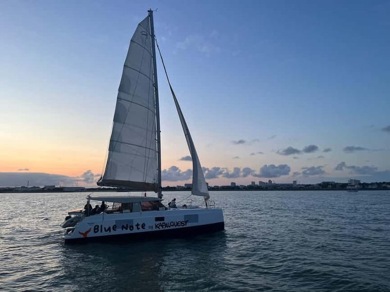 La Flotte en Ré - 5H30 Sailing Catamaran Long Cruise - Key points to know before sailing