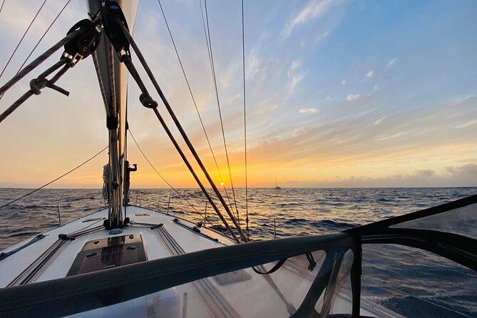 La Maddalena Archipelago Sailing Tour with Lunch from Palau - Should you book the Palau sailing tour?