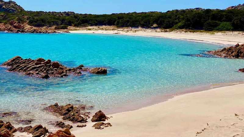 La Maddalena Arcipelago: Sailing boat tour with lunch - Should you book this Maddalena cruise?