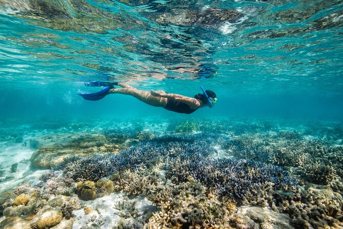 Lady Enid Sailing to Hook Island Cultural Site & Snorkelling - Starting at Coral Sea Marina before 8:00 am