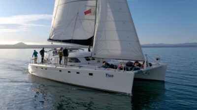 Lake Taupo: Luxury Sailing Catamaran to Māori Rock Carvings