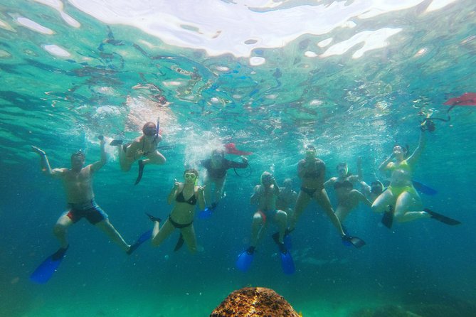 Lands End Luxury Sail and Snorkel Cruise in Cabo San Lucas - A three-hour Cabo outing that uses the morning well
