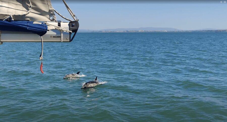 Lisbon: Private Boutique Boat Tour – Sail in Style - Under the 25 de Abril Bridge with Cristo Rei beyond