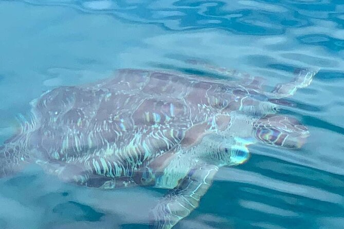 Little Bay Half-Day Sail & Snorkel Adventure - The sail to secluded Little Bay