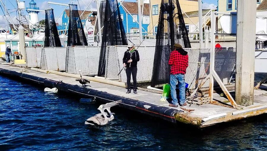 Los Angeles: Sunset Sailing - What sailing with Gustavo is like